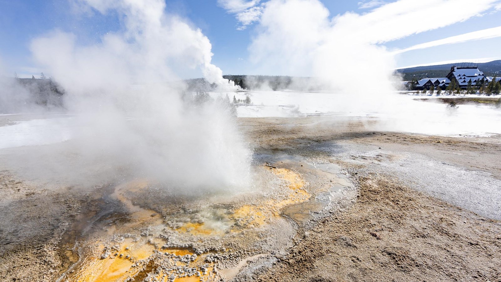 Water sprays a couple of feet into the air from a geyser vent surrounded yellow, microbial mats.
