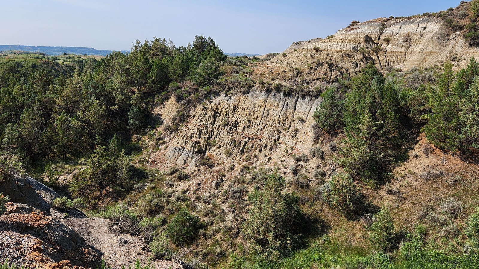 A rock face above a ravine with juniper trees and shrubs