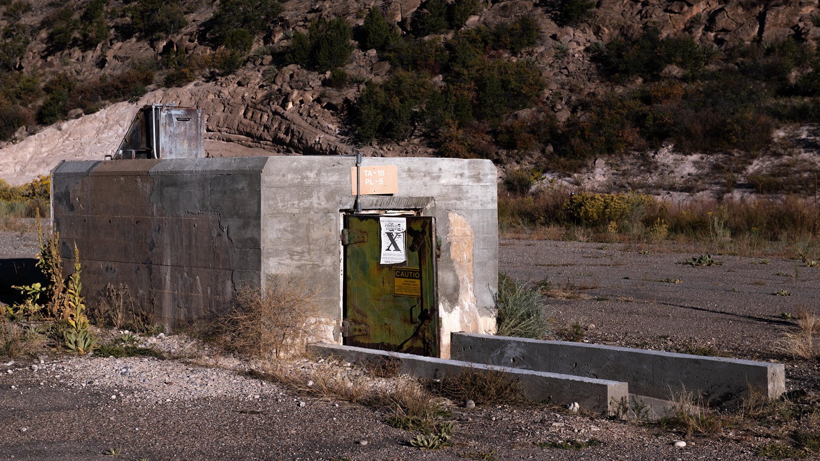 A green door set in a concrete frame sits partially underground with stairs leading to it.