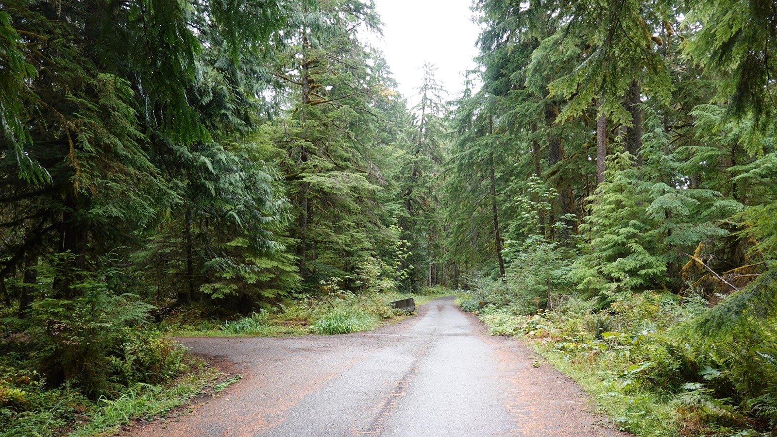 A paved road transitions into a narrow gravel road with a service road on the left.