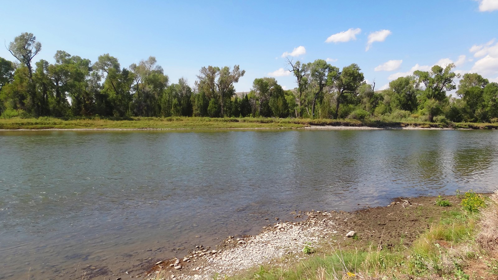 large river with tress on the opposite shore