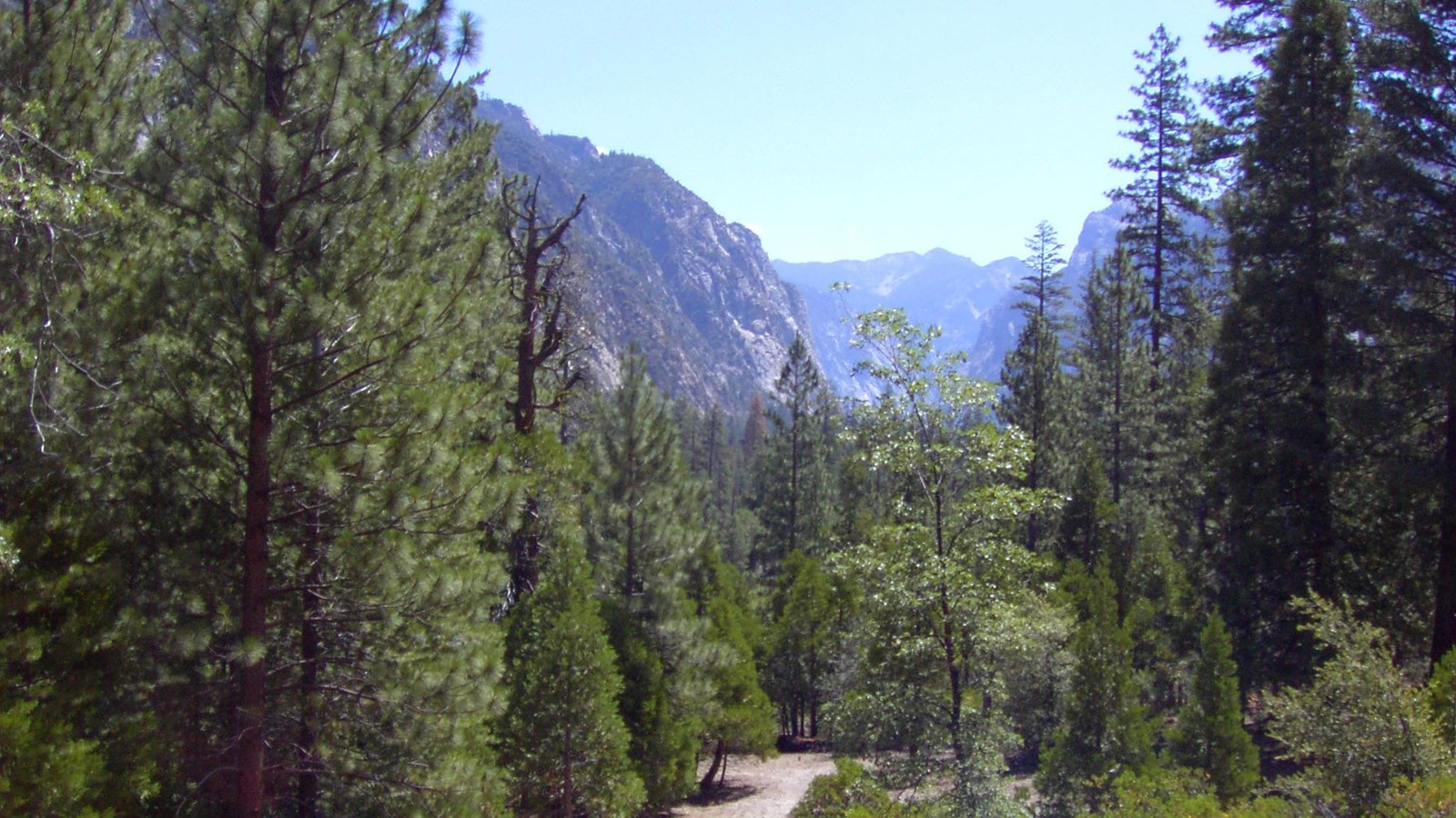 A view up into a canyon with a distinctive U shape.