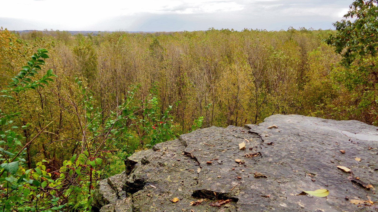  Rocky plateau overlooking tree filled bottomlands