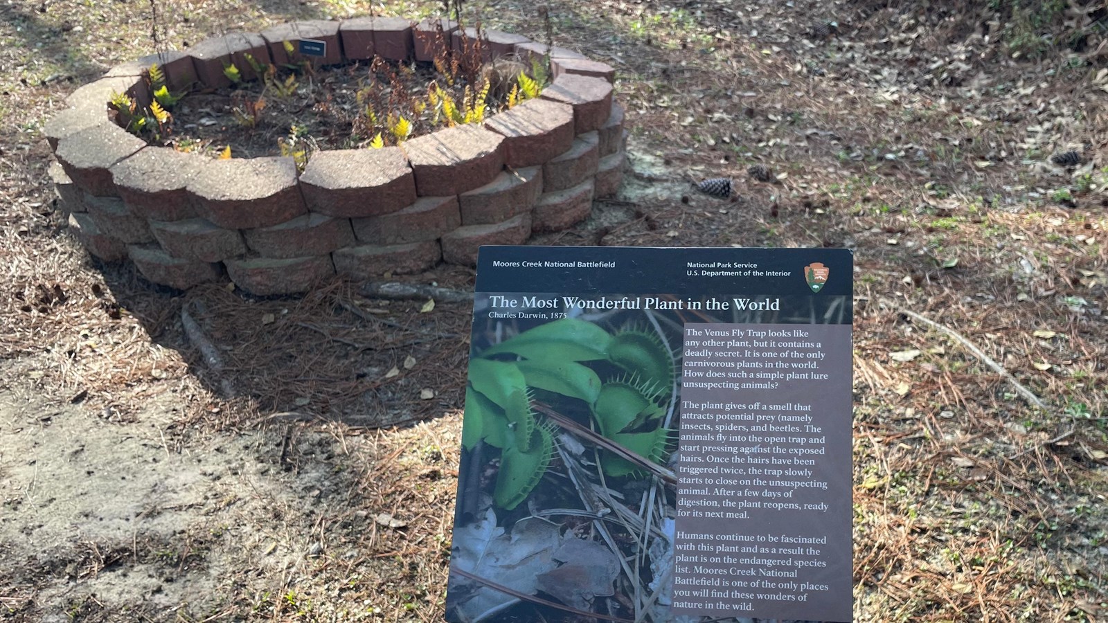 Metal sign with a venus fly trap on it. Behind the sign is a circular brick planter.