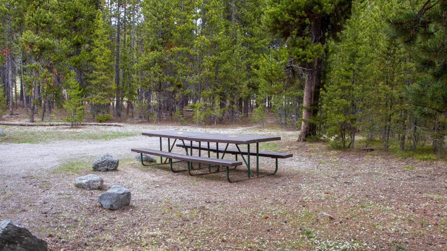 Pair of picnic tables in wooded area