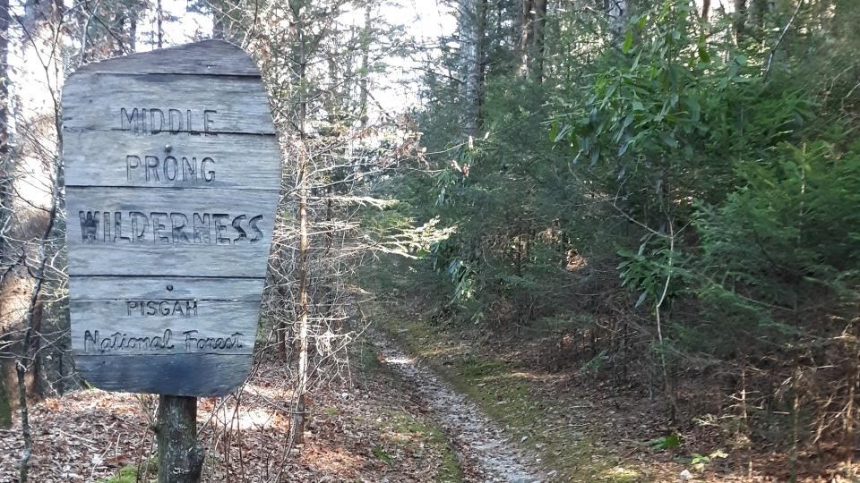 Worn wooden Middle Prong Wilderness sign to the left of a trail heading into a forest