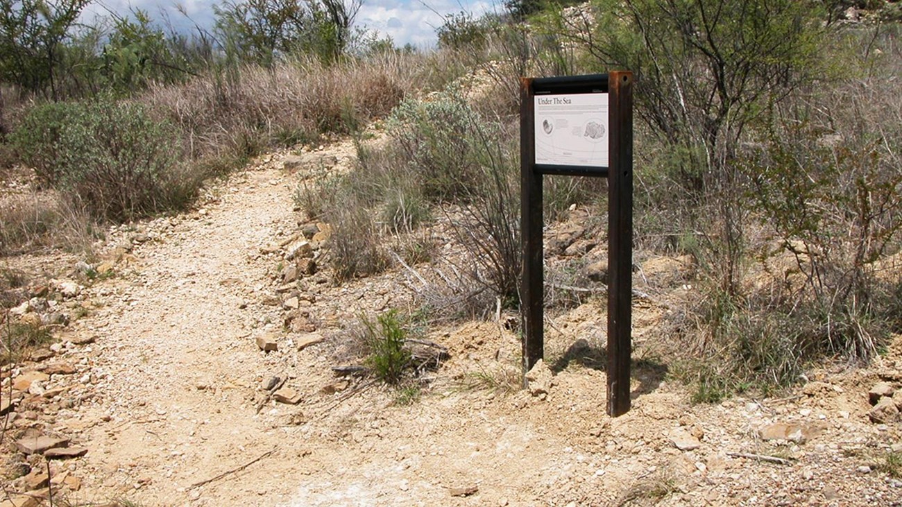Compacted earth trail arcing up and to the right around a trailhead sign.