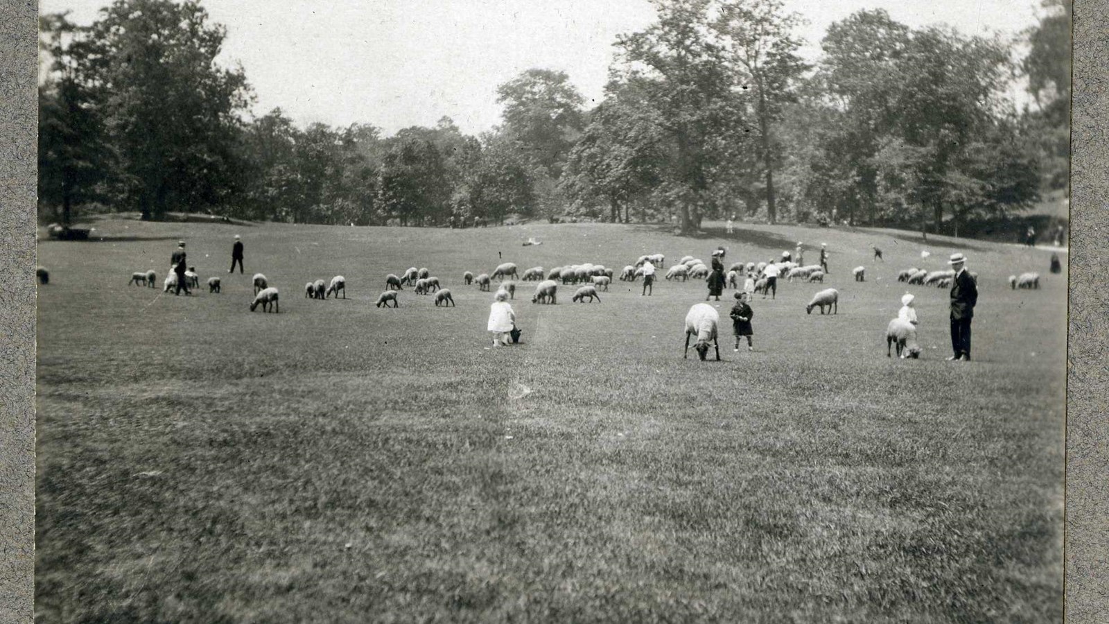 Black and white of grassy area with trees on the edges and people and sheep playing on grass