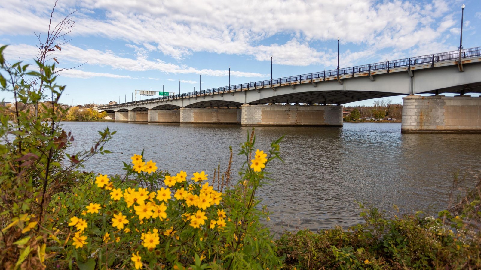 Sousa Bridge
