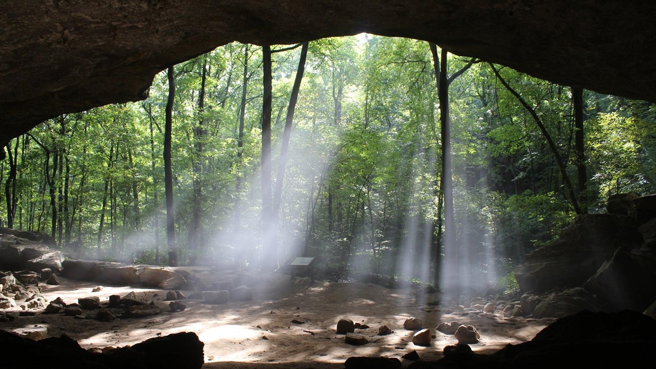 A fifty foot bluff shelter frames the green forest as rays of sunlight shine into the bluff shelter.