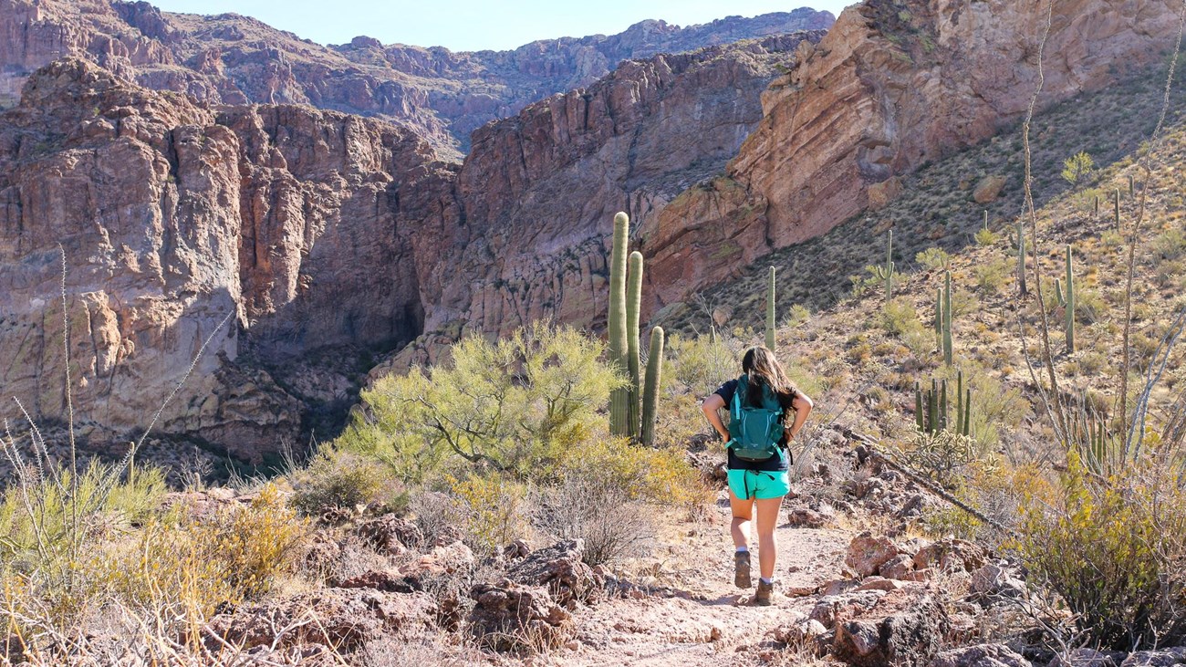 Female visitor hikes on desert trail, surrounded by