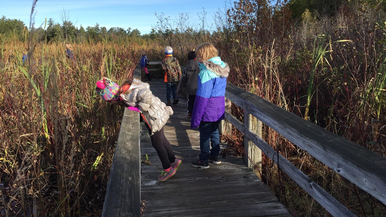Several children standing on a wooden boardwalk looking out into the marsh
