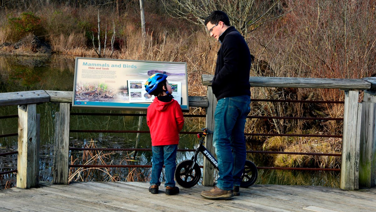 Man and child with bike and helmet, stand in front of “Mammals and Birds” panel on wooden boardwalk.