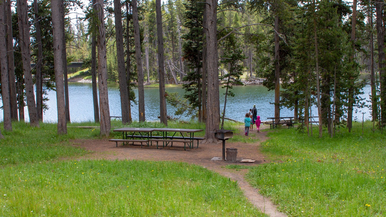 Picnic tables along the shore of Yellowstone Lake