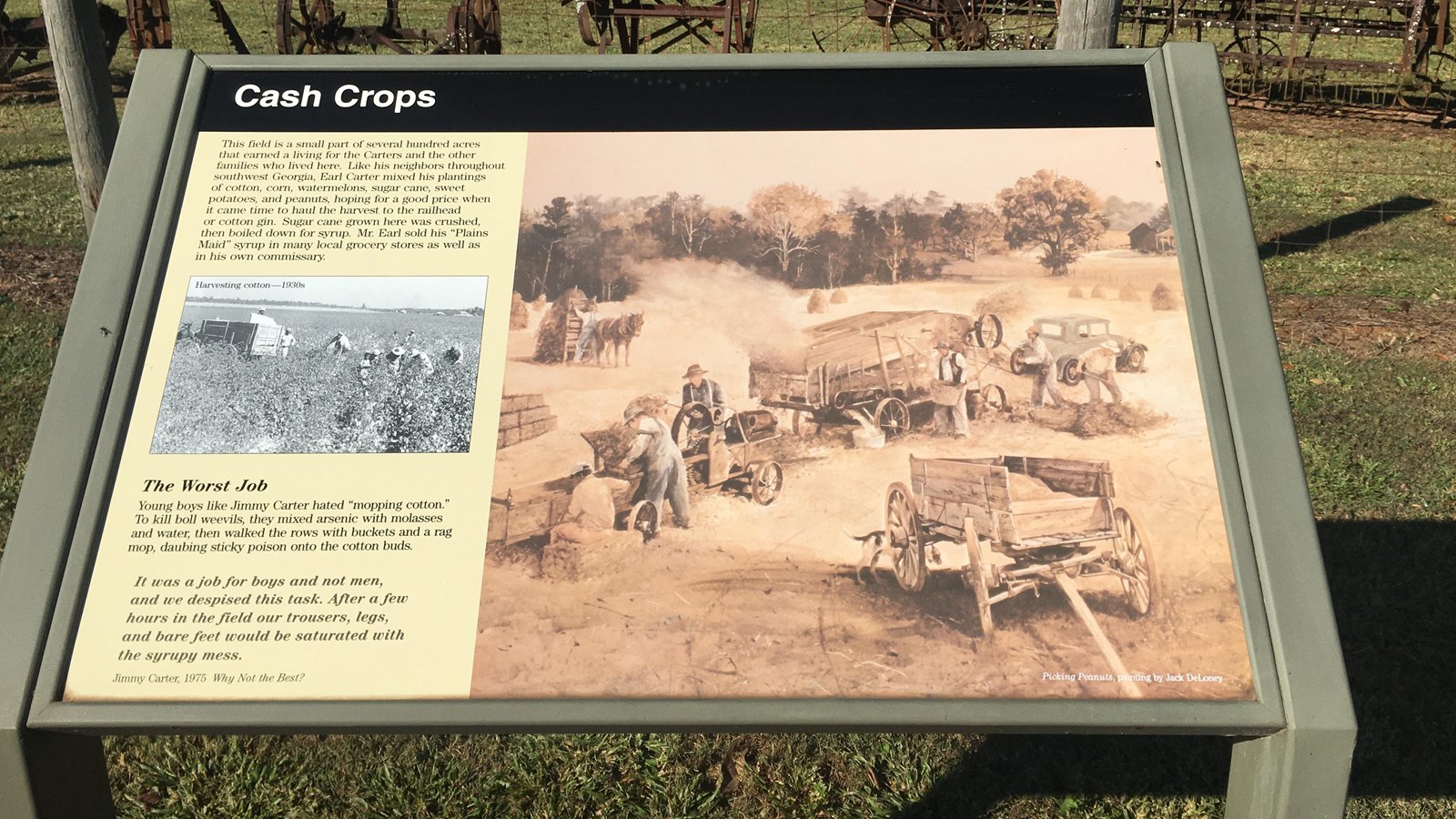 A sign talking about the cash crops on the Carter farm and how cotton was :mopped.