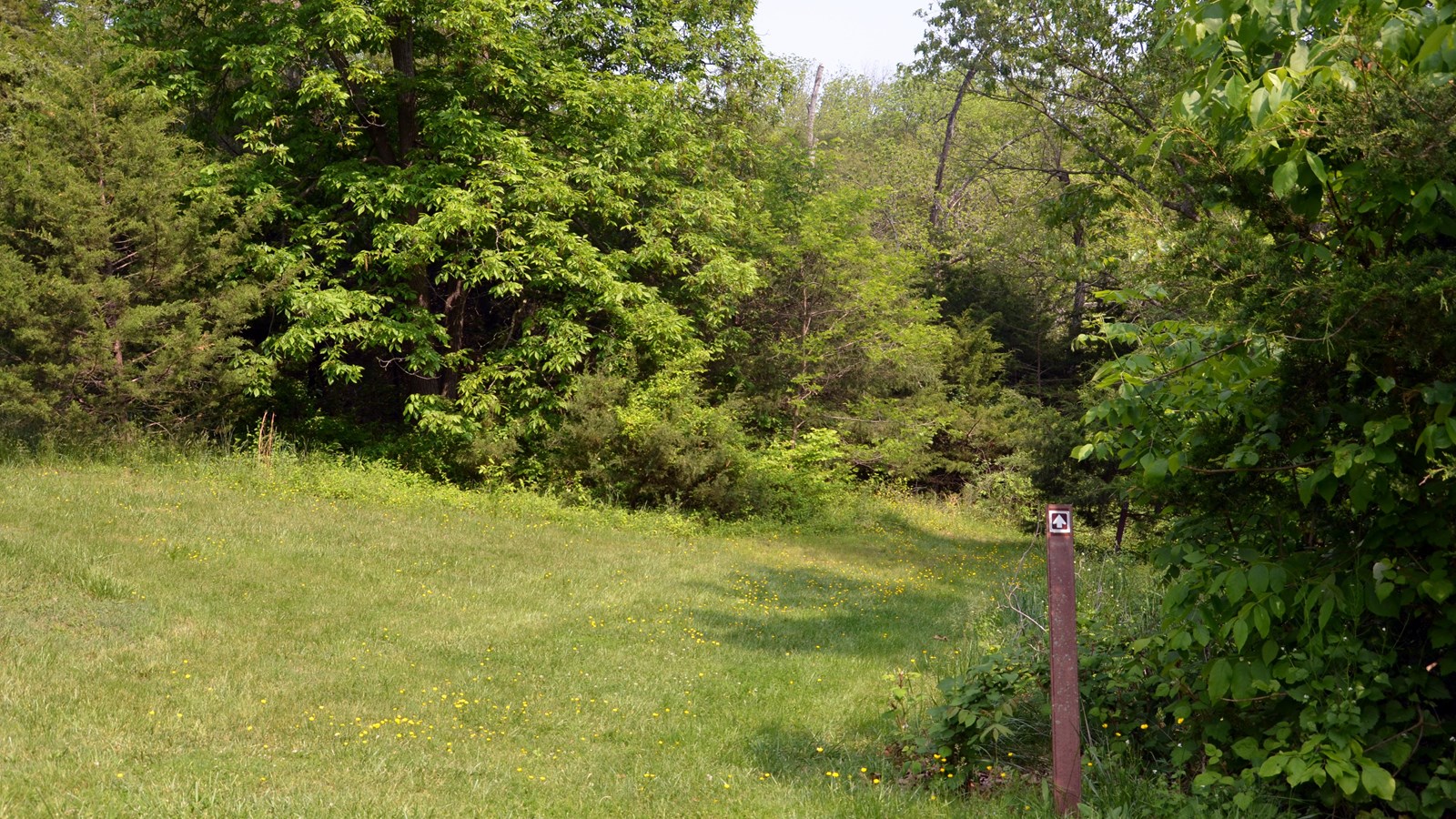 A mowed grass path defines a trail entering a wooded ravine. 