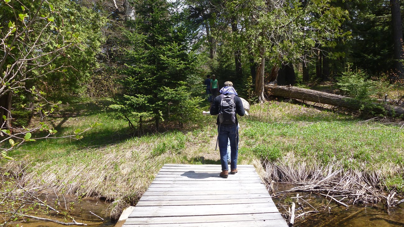Day hiker walking across wooden bridge over shallow wetland.