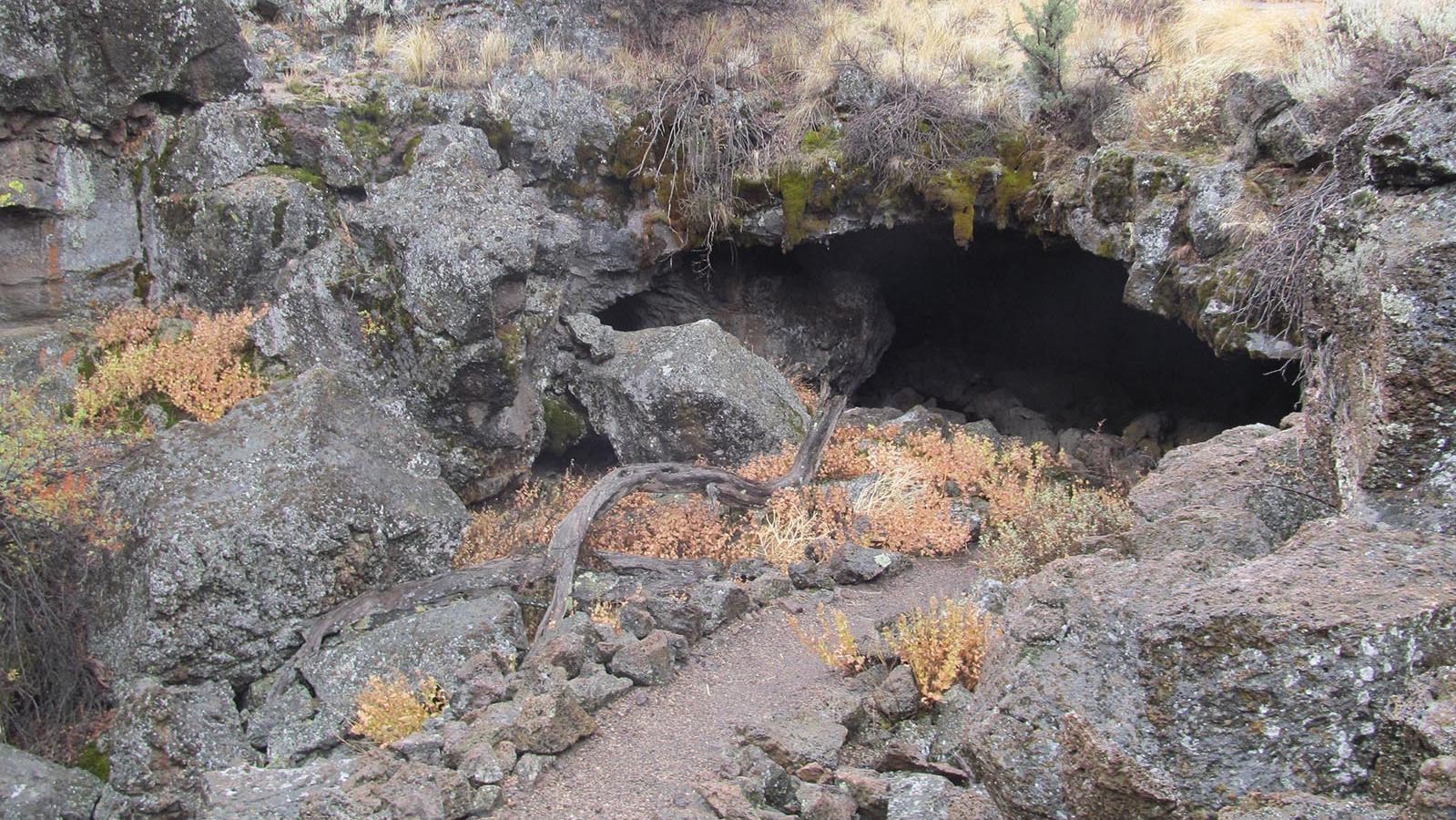 Paradise Alleys Cave entrance