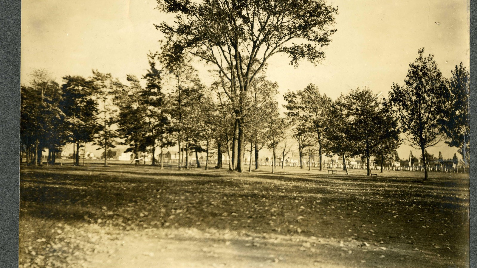 Black and white of flat grassy area with trees spread out, benches spread out