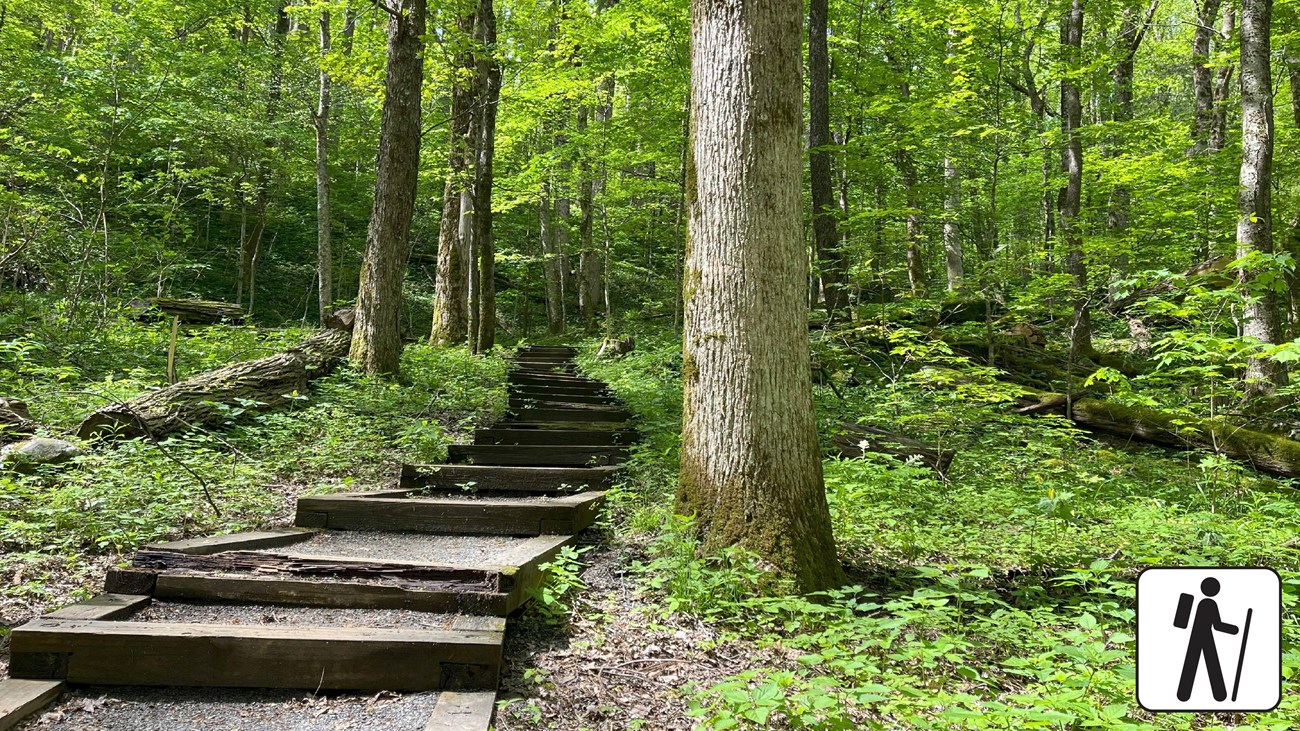 A trail with wooden steps wandering through the woods, in the lower corner is a hiker icon.