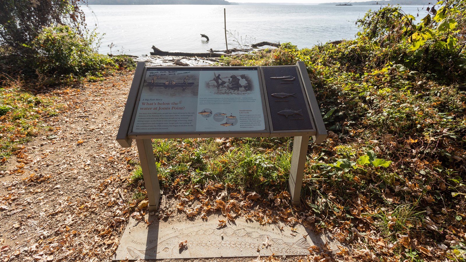A picture of 4 men rowing in a boat is positioned next to a photo of 4 men unloading fish. 