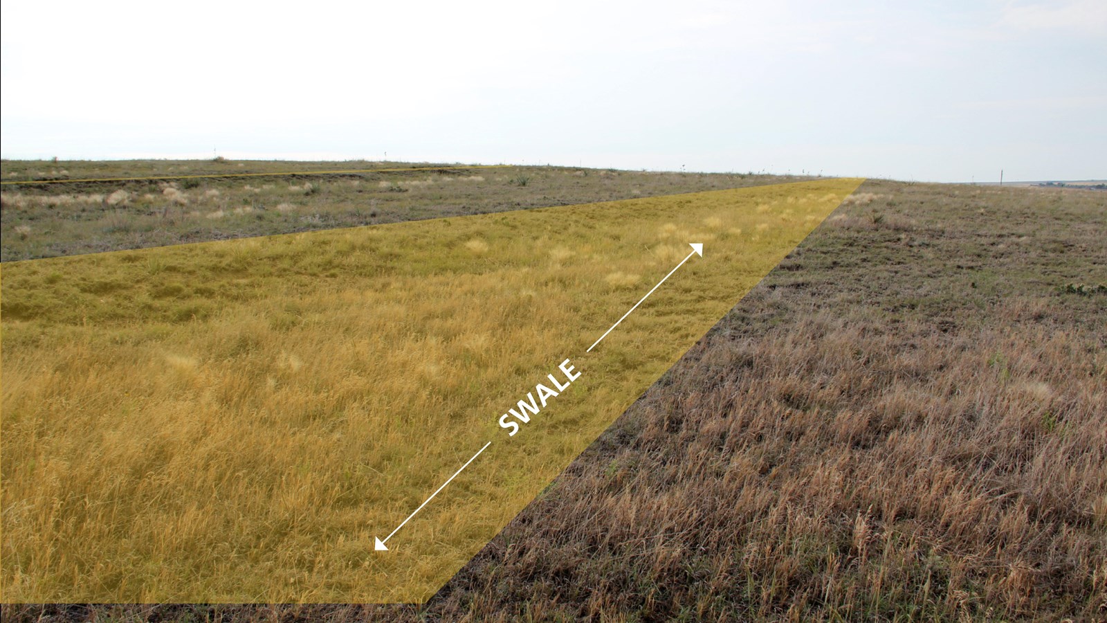  Grassy field with large horizontal ruts. Boardwalk with sign crossing the field. 