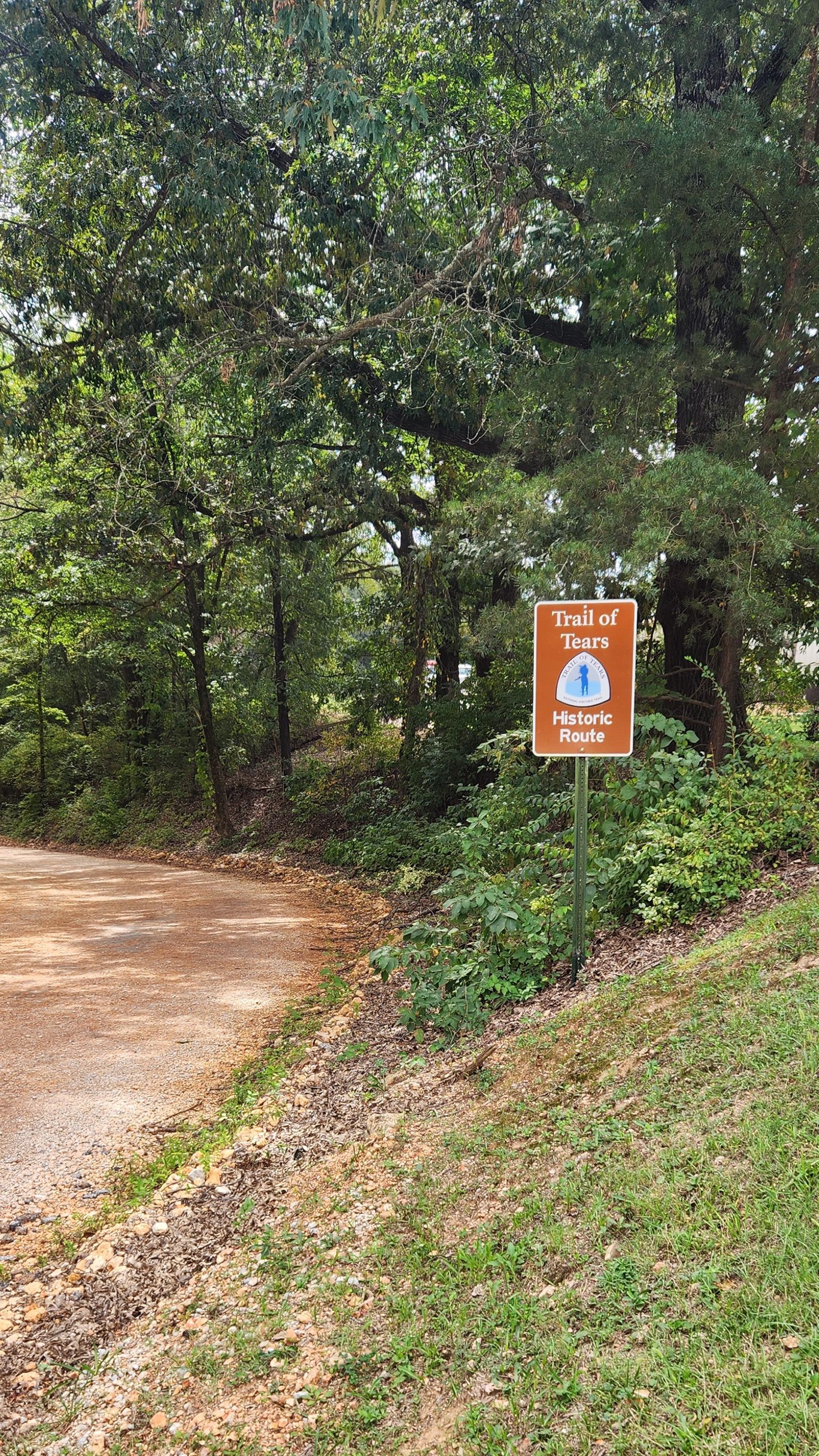 Intersection of two historic roads, with a brown sign, lined ay tall trees.