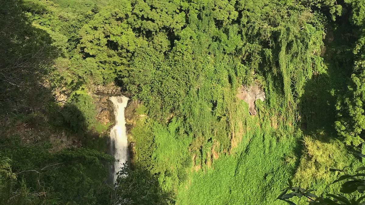 White waters fall over a cliff surrounded by verdant trees.