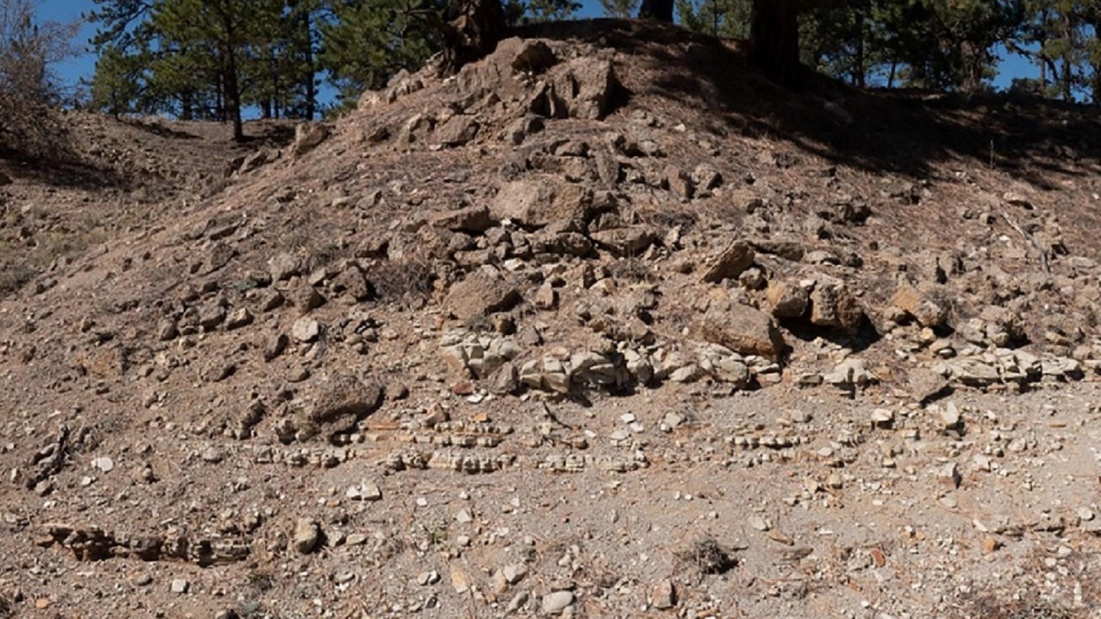 Layer of rock formation