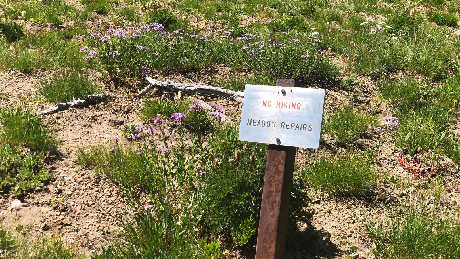A silver sign that says, 