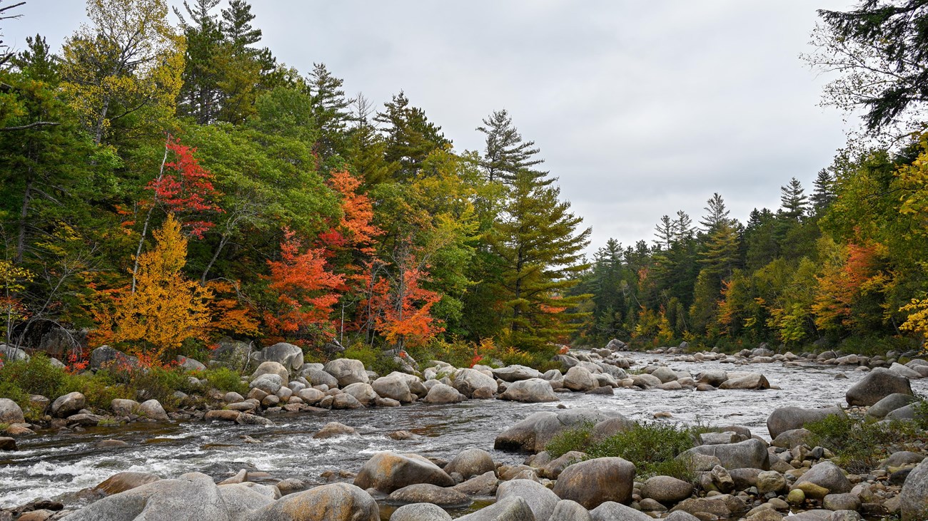 Fall colors line the water at Orin Falls. Red, orange, and yellow trees surround the water.