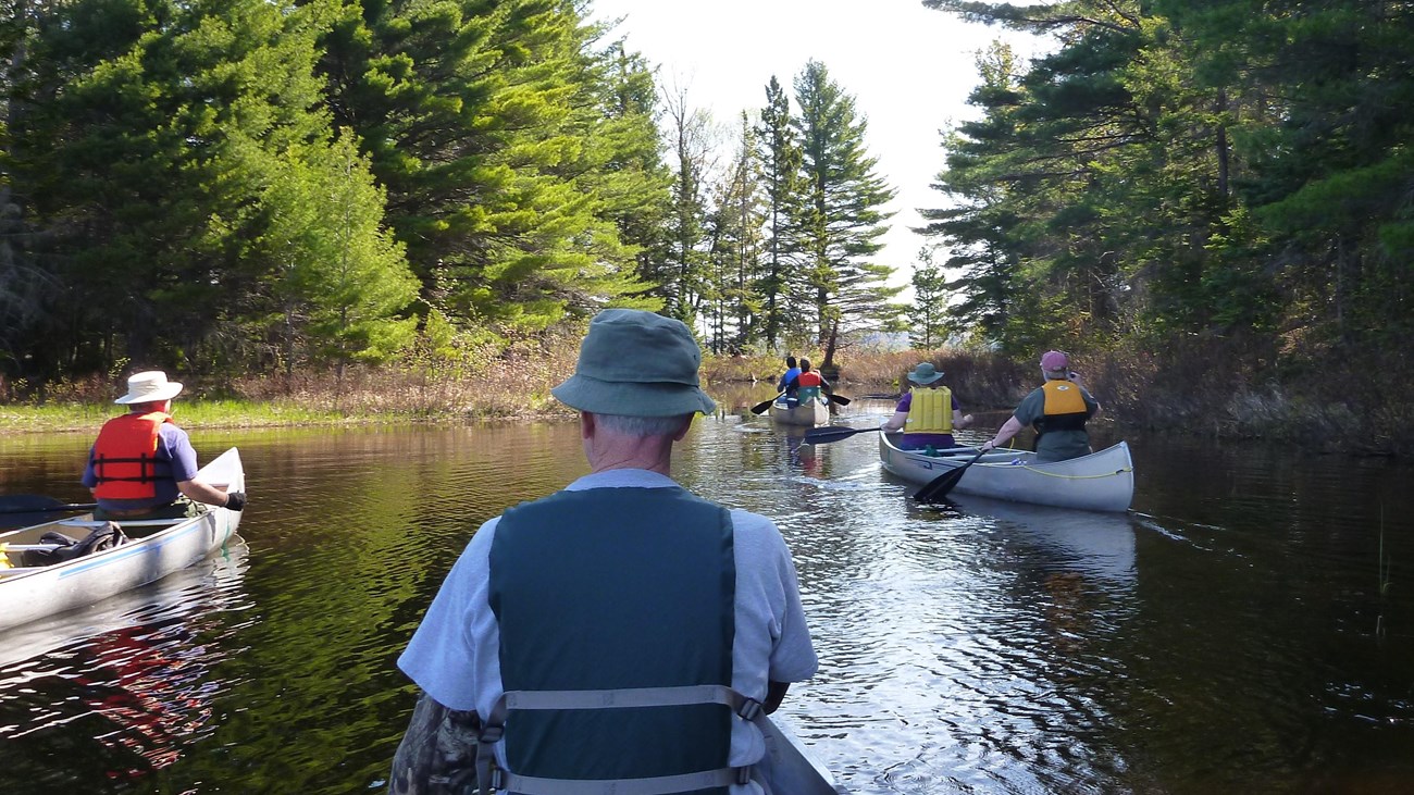 Several canoes on an island lake, with forest in the background