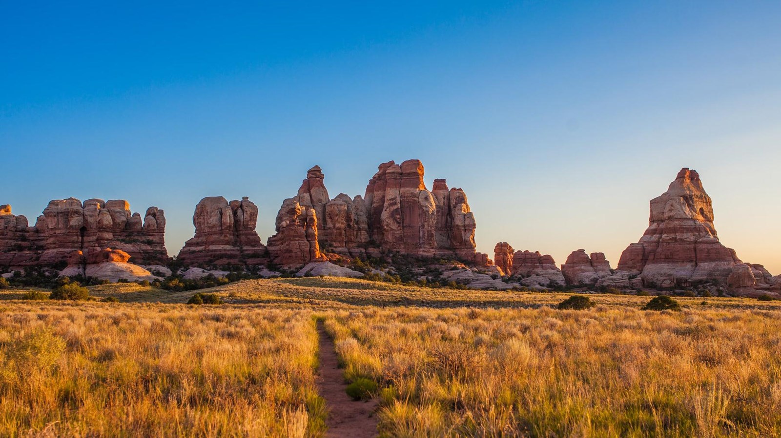 Multicolored sandstone spires in a yellow meadow at sunset