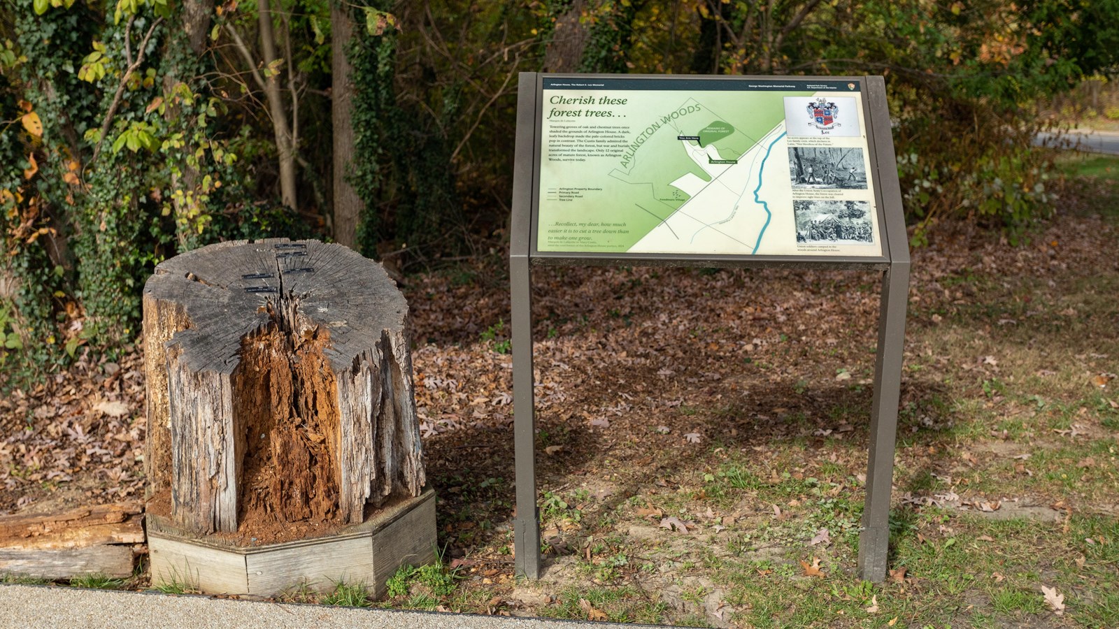 Information panel next to a stump. A map shows woods behind the Arlington House.