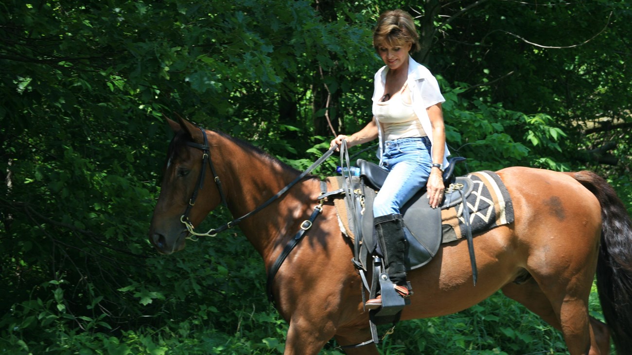 Horseback Riding at Glenwood Dunes Trail