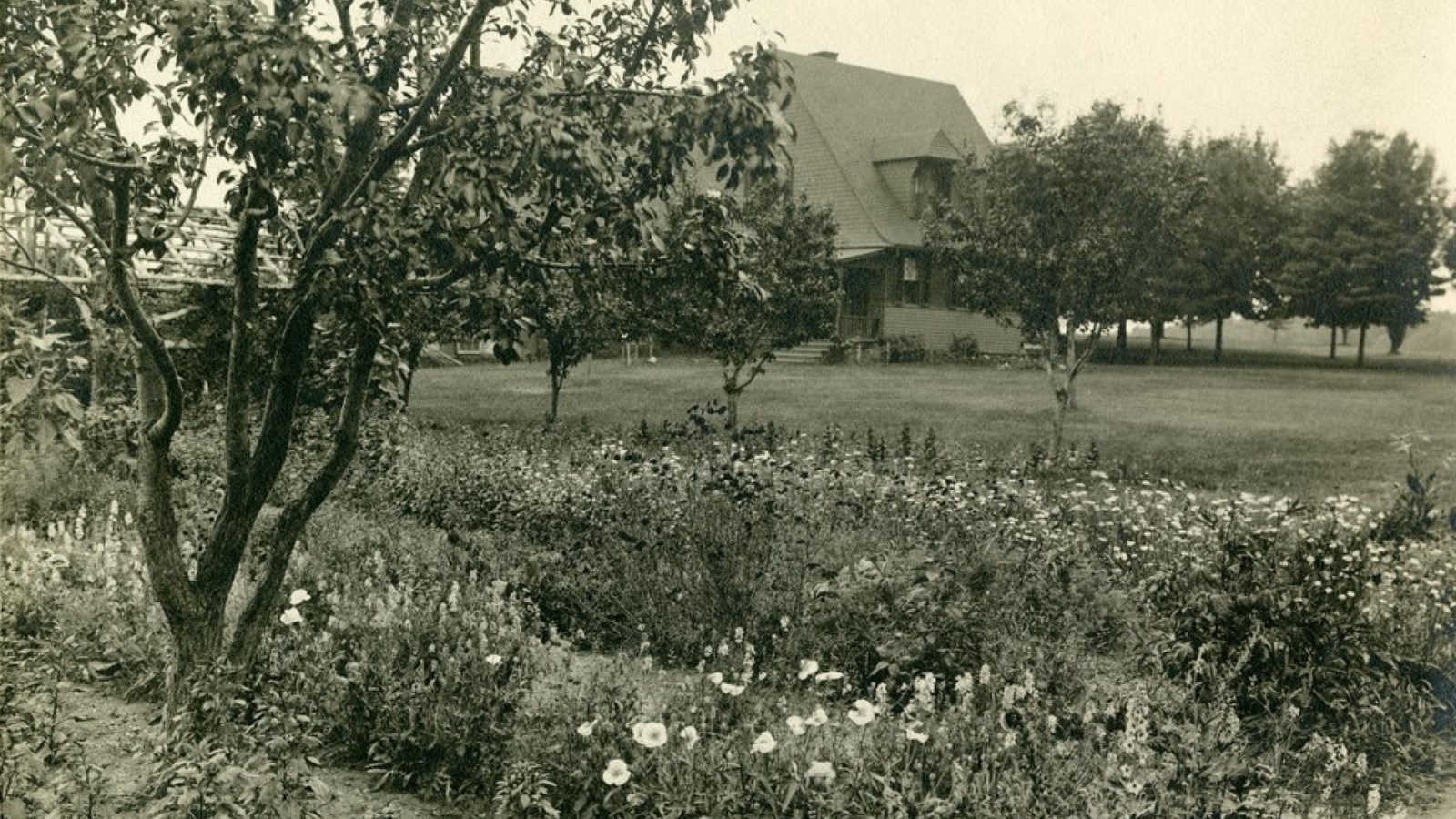 A black and white photo of a flower garden with a Queen Anne-style building and trees.