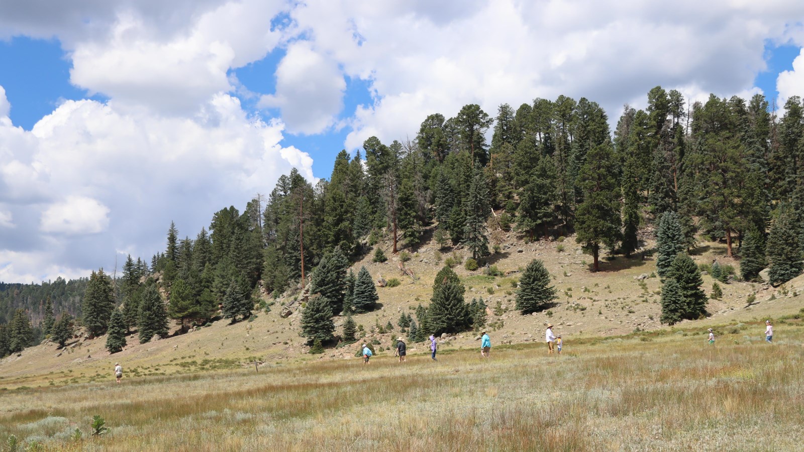 A distant group of people hikes single file through a grassland at the base of a forested lava dome.