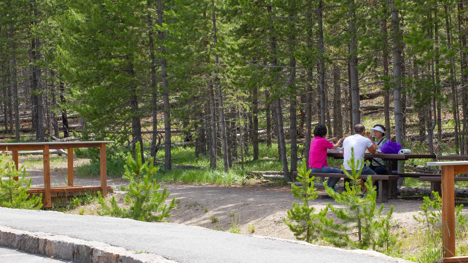 Picnic table with picnickers