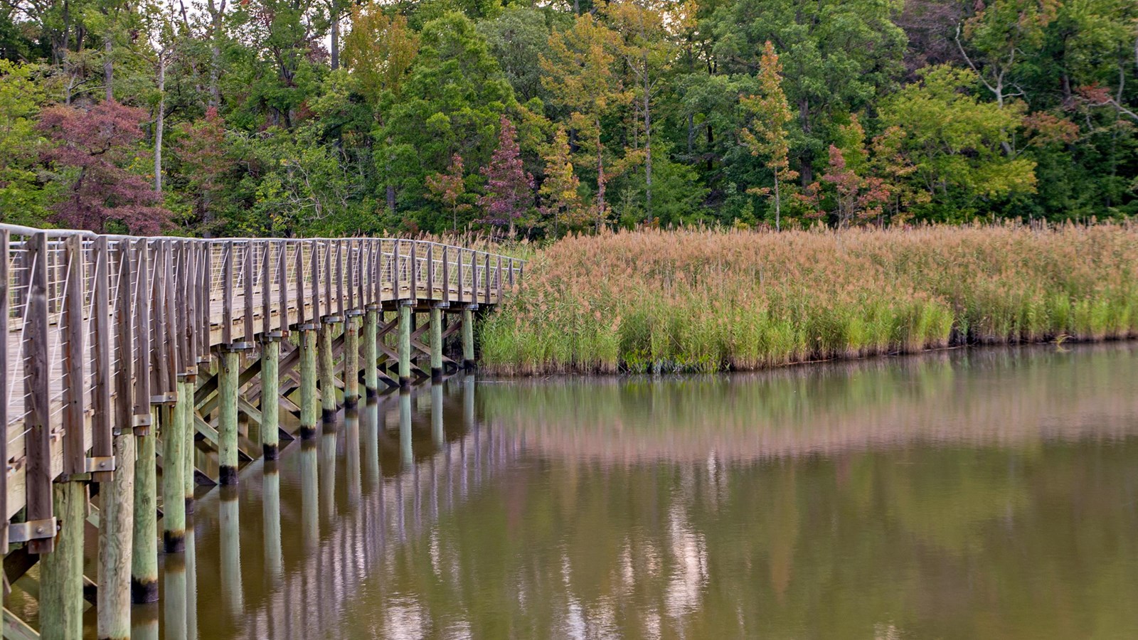Footbridge over Dundee Creek with surrounding grasses and trees in autumn colors.