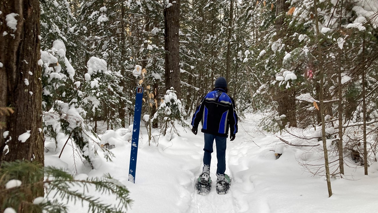 Snowshoer on forested snow trail with blue trail marker nearby