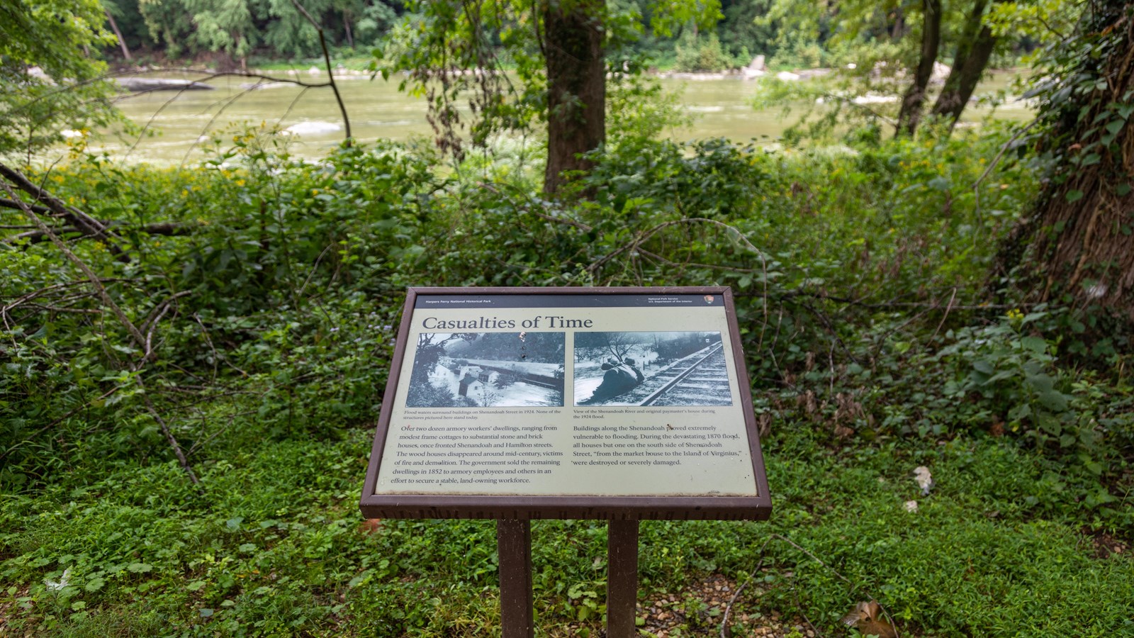 An information panel in front of trees.