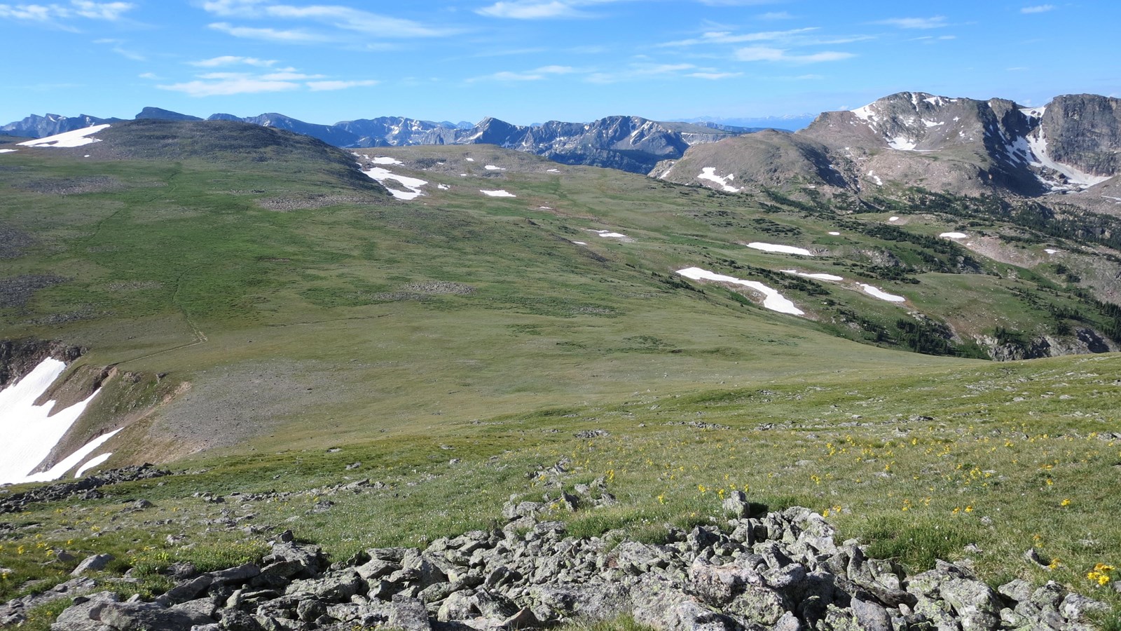 Alpine Tundra with mountains in the distance