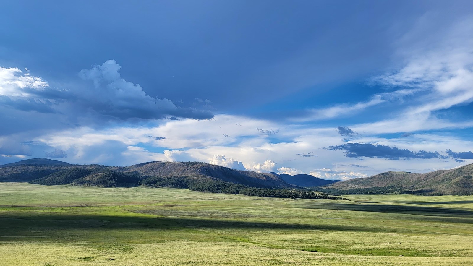 A sweeping grassland valley covered in late evening light and shadows