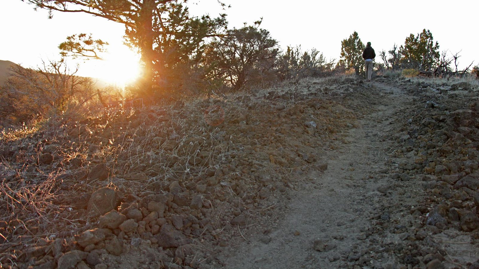 Big Nasty Trail