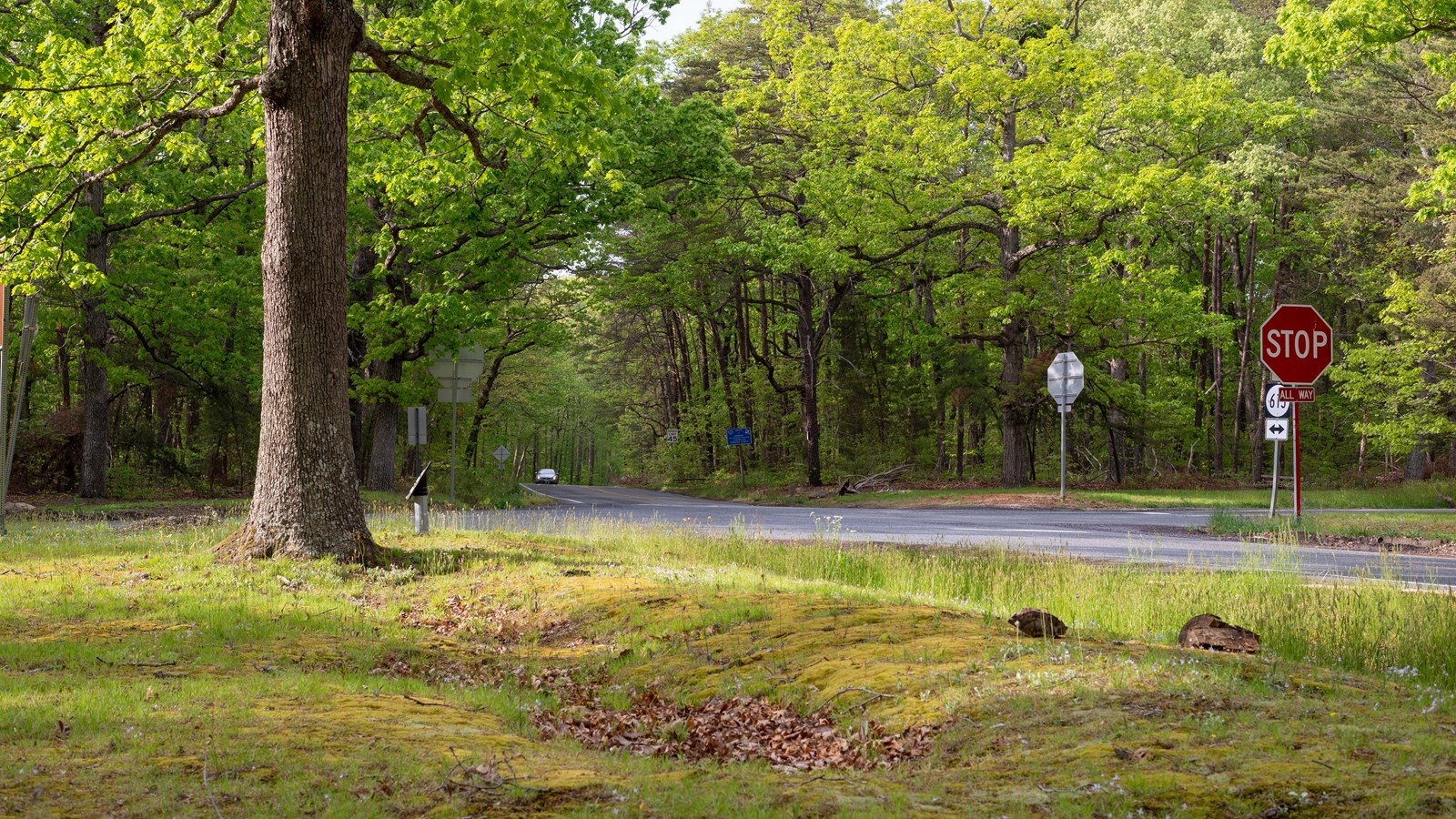 A road intersection with Civil War trenches alongside.