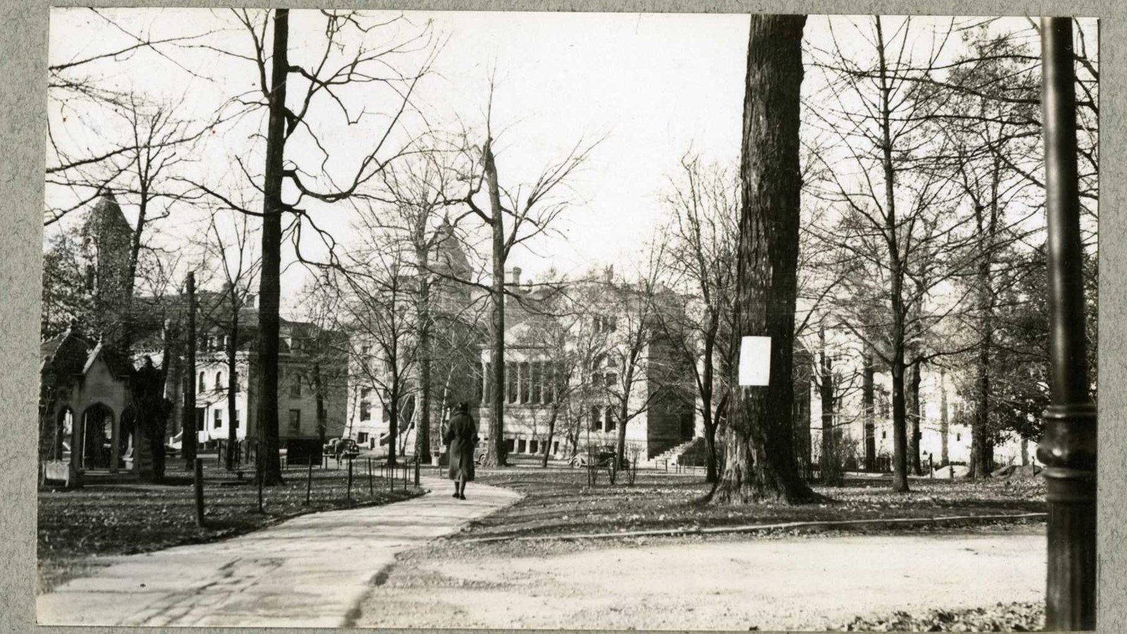 Black and white of path cutting through flat tree area leading to large buildings