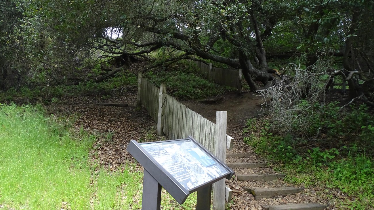 A wooden fence runs up a hill along side some steps. Further up, another section of fence continues.