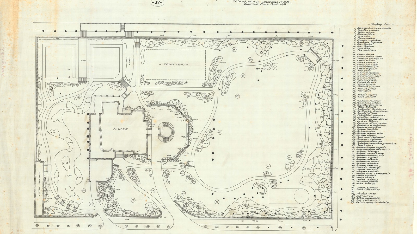 Plan of large home with curving path leading to it, large open area and many trees around