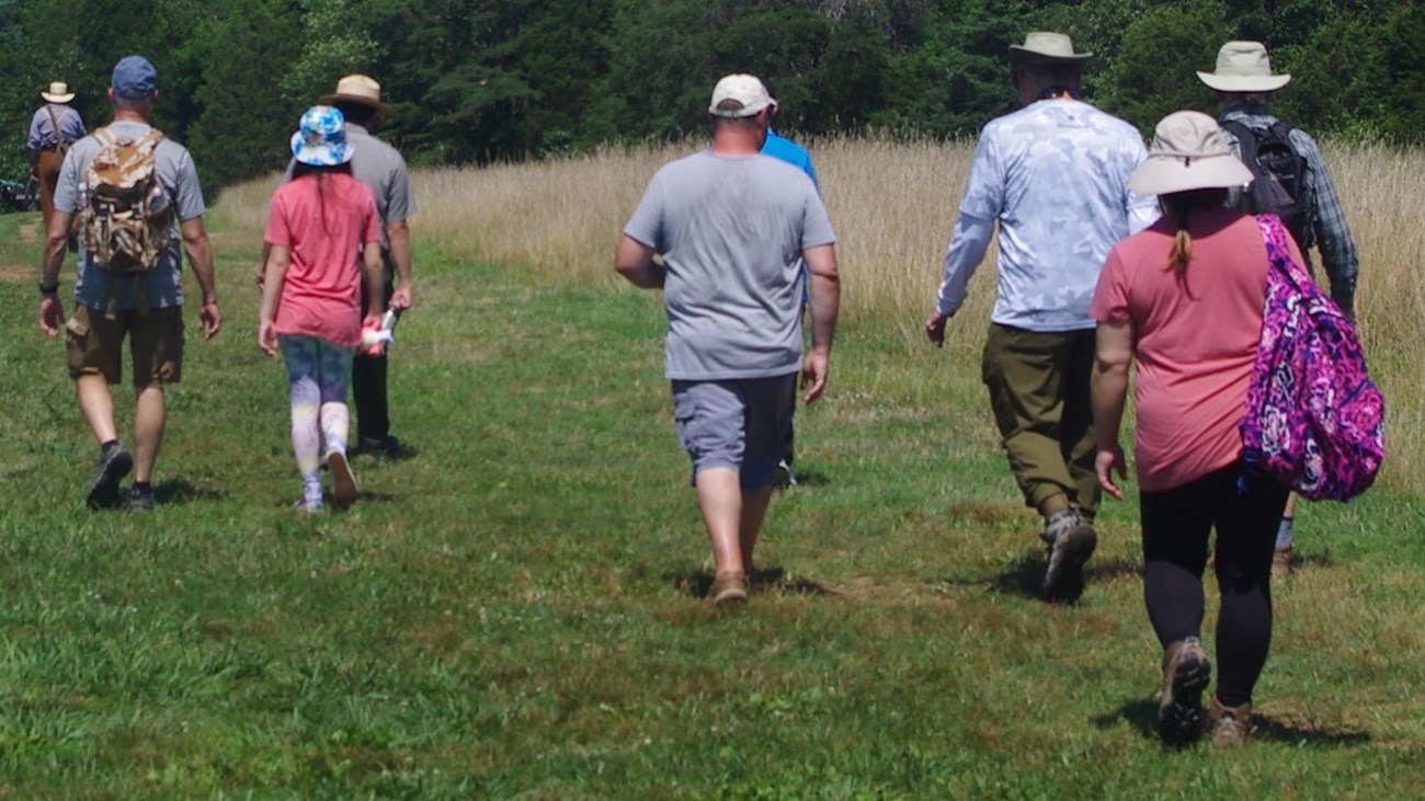Group of visitors walking through grassy field with a dense treeline in the distance