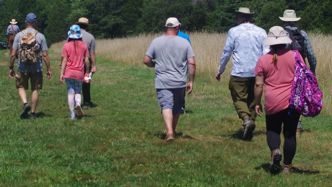 Group of visitors walking through grassy field with a dense treeline in the distance 